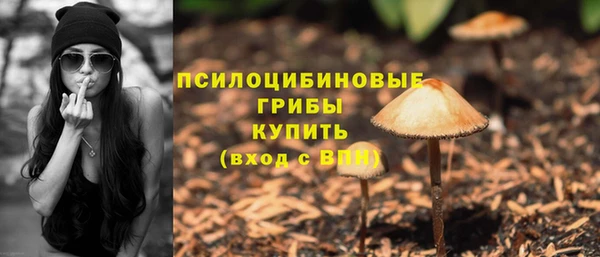 синтетический гашиш Анжеро-Судженск