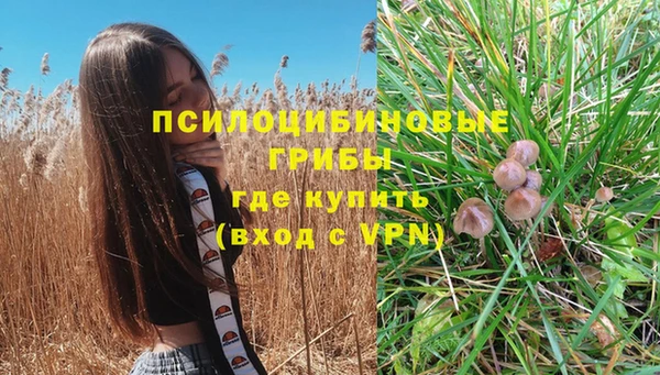 СК Анива