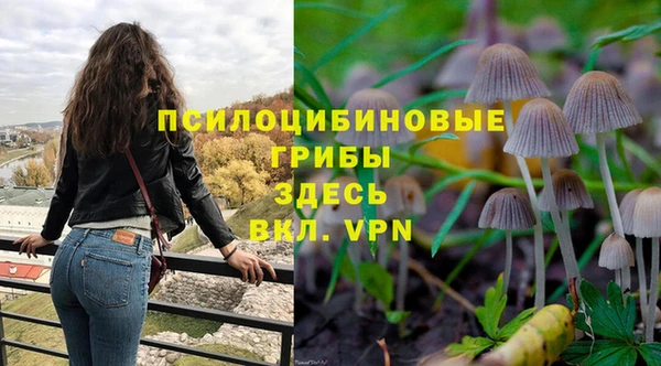 синтетический гашиш Анжеро-Судженск