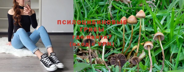 крисы Волоколамск
